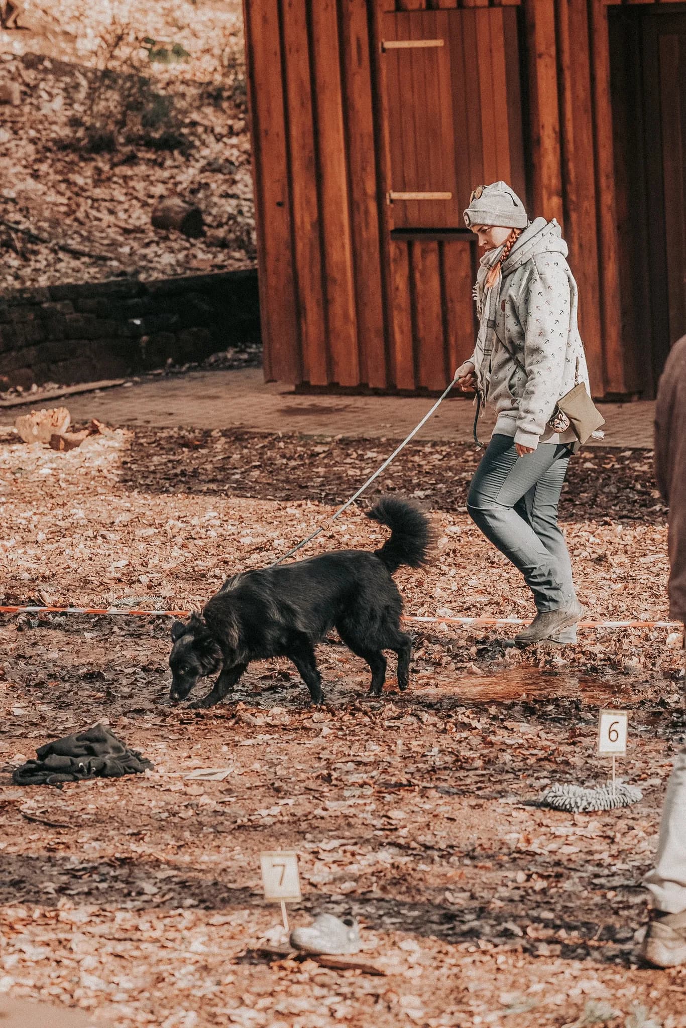 Schwarzer Hund schnüffelt an der Leine über Laub, dahinter geht seine Halterin, daneben steht eine nummerierte Spurenmarke