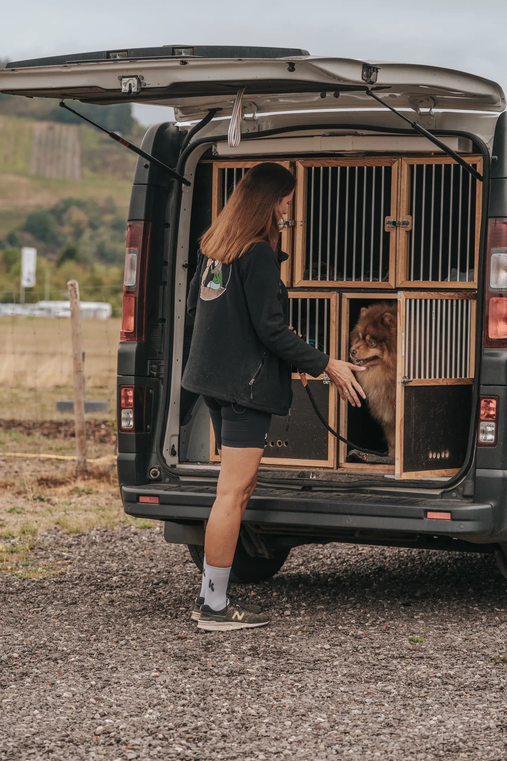 Trainerin holt einen Hund aus der Transportbox des Dogwalking-Busses