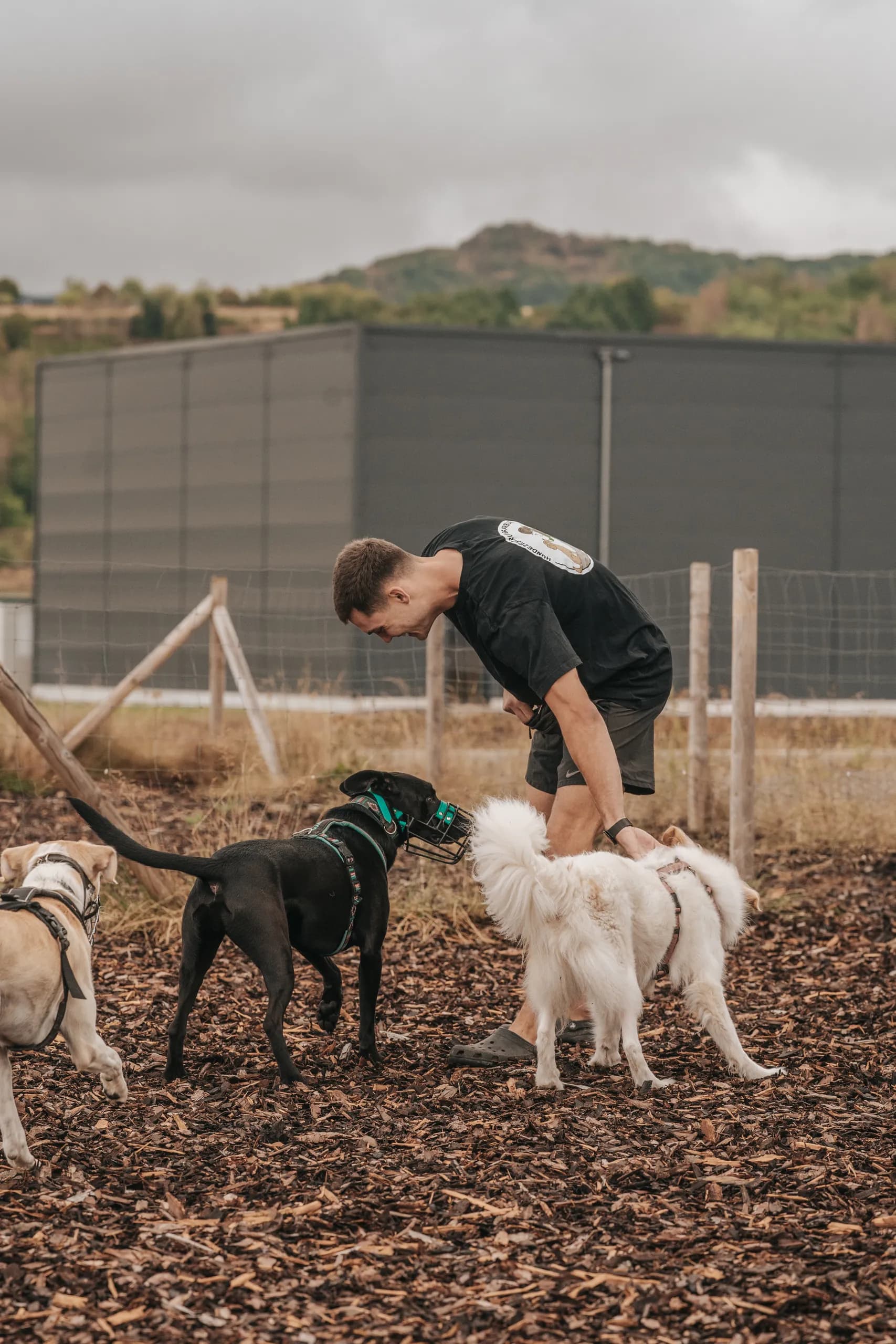 Trainer beugt sich lachend zu einer kleinen Hundegruppe auf dem Platz