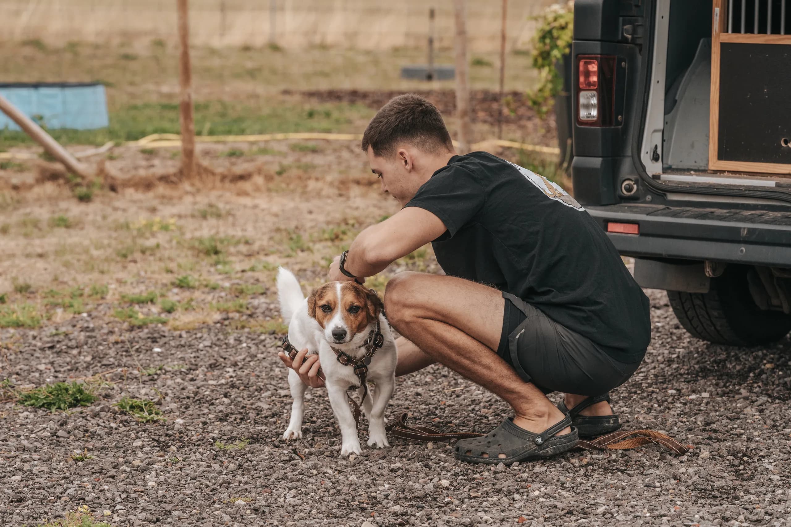 Trainer legt einem Hund ein passendes Geschirr an