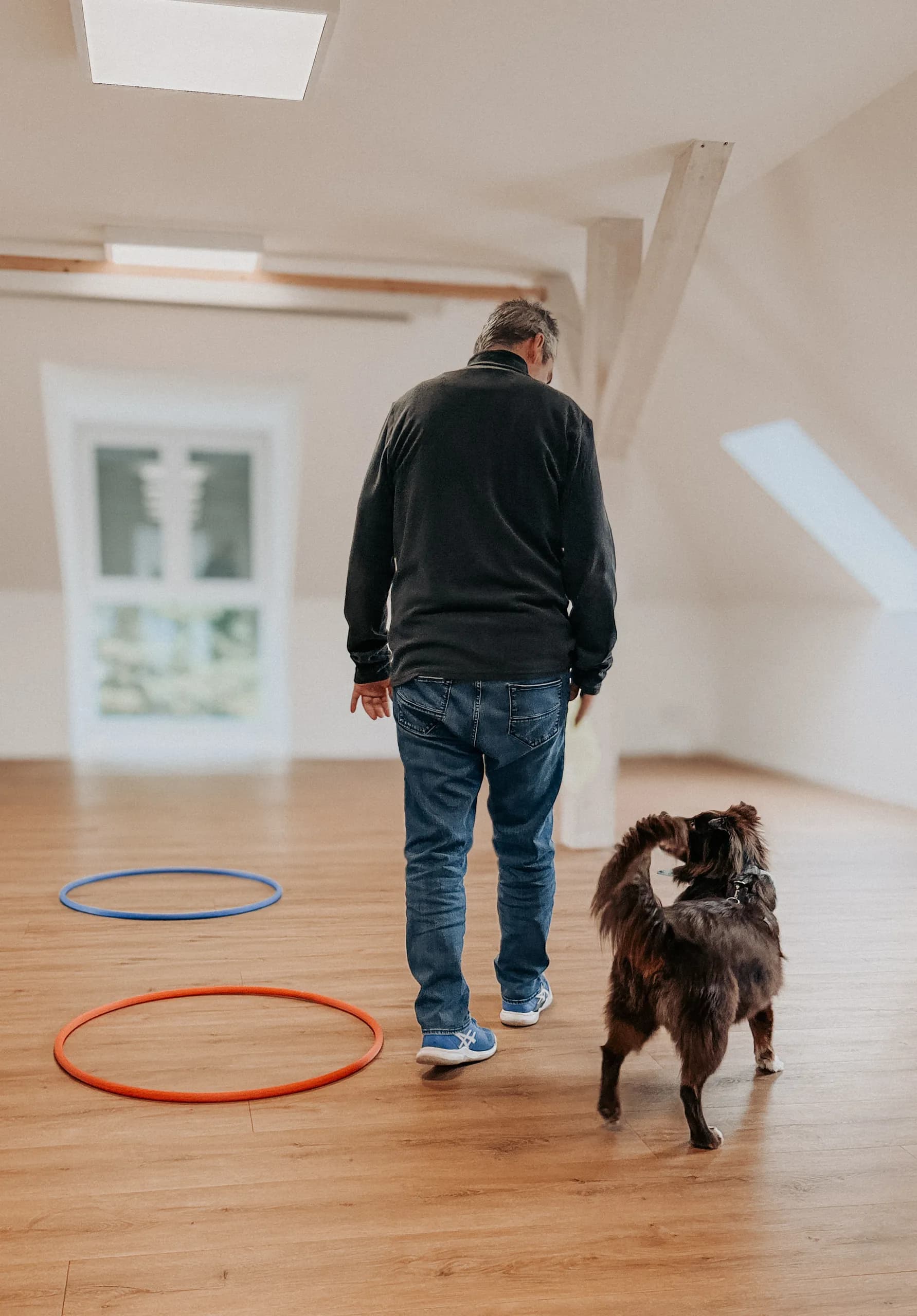 Mann übt mit seinem Hund an Reifen auf dem Boden
