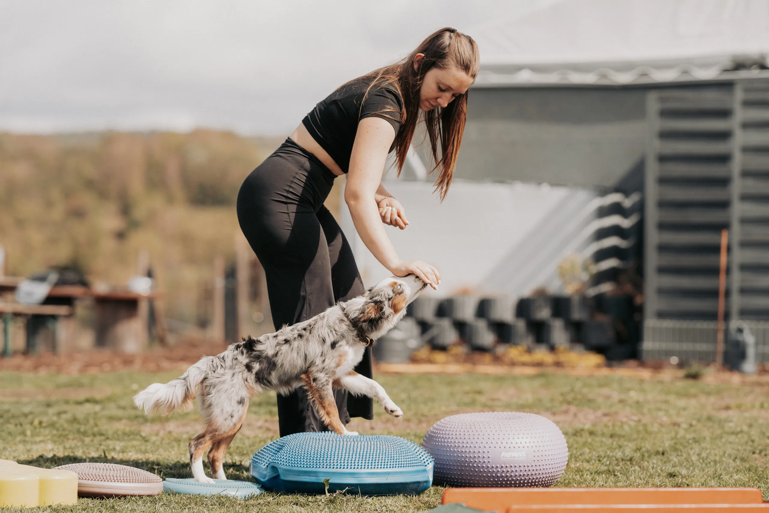 Trainerin führt einen Hund über den Balance-Parcours auf dem Trainingsplatz